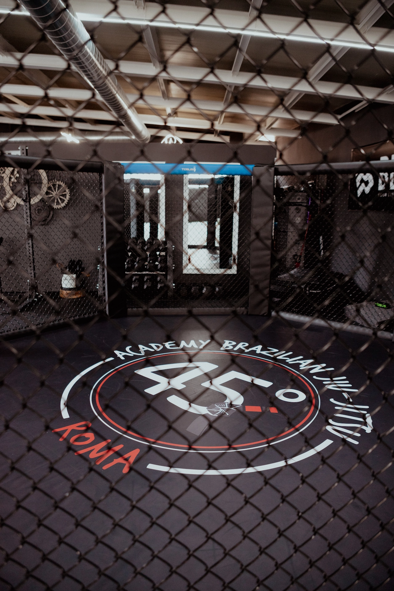 Gabbia MMA - Vista interna