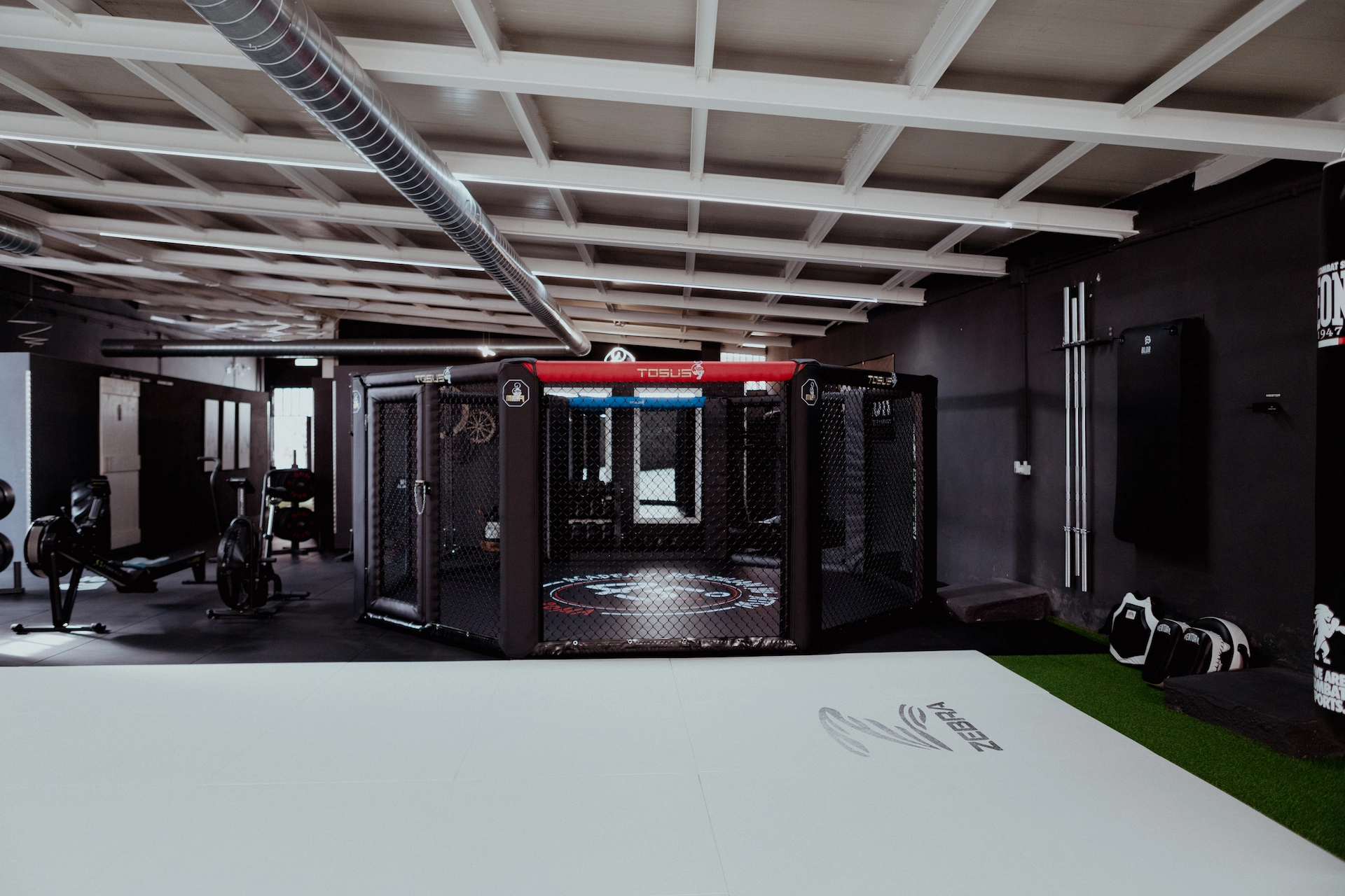 Gabbia MMA - Vista media