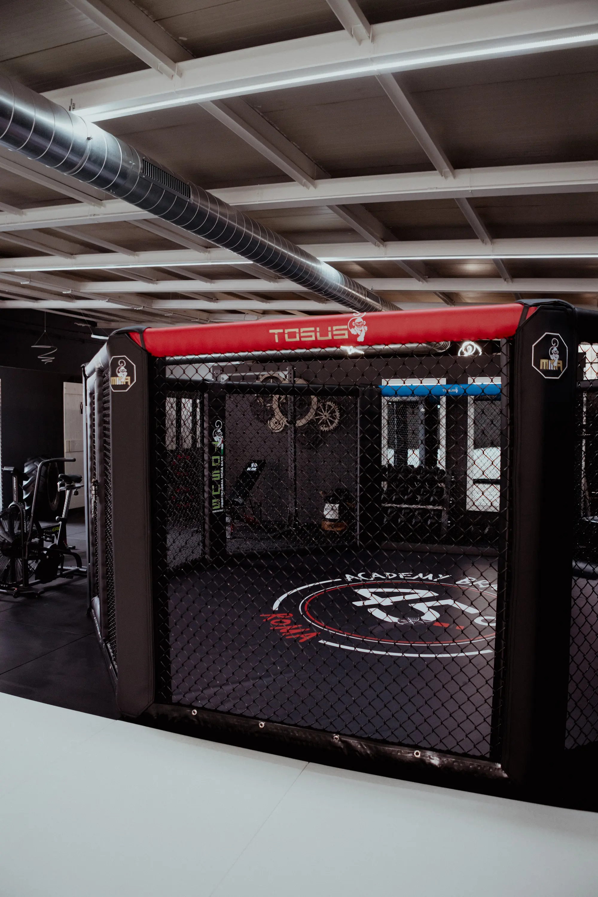 Gabbia MMA - Struttura