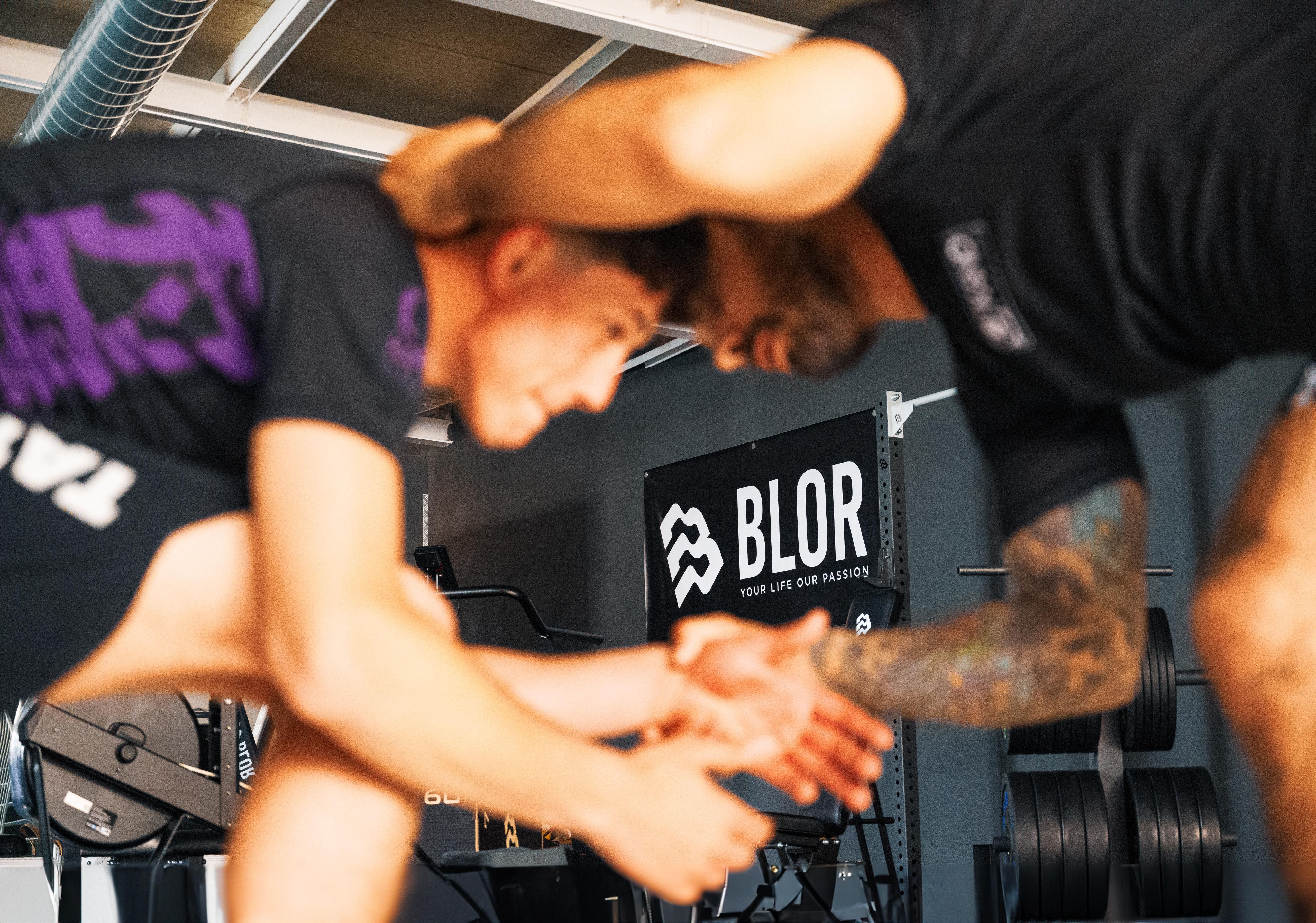 MMA - Lavoro di clinch