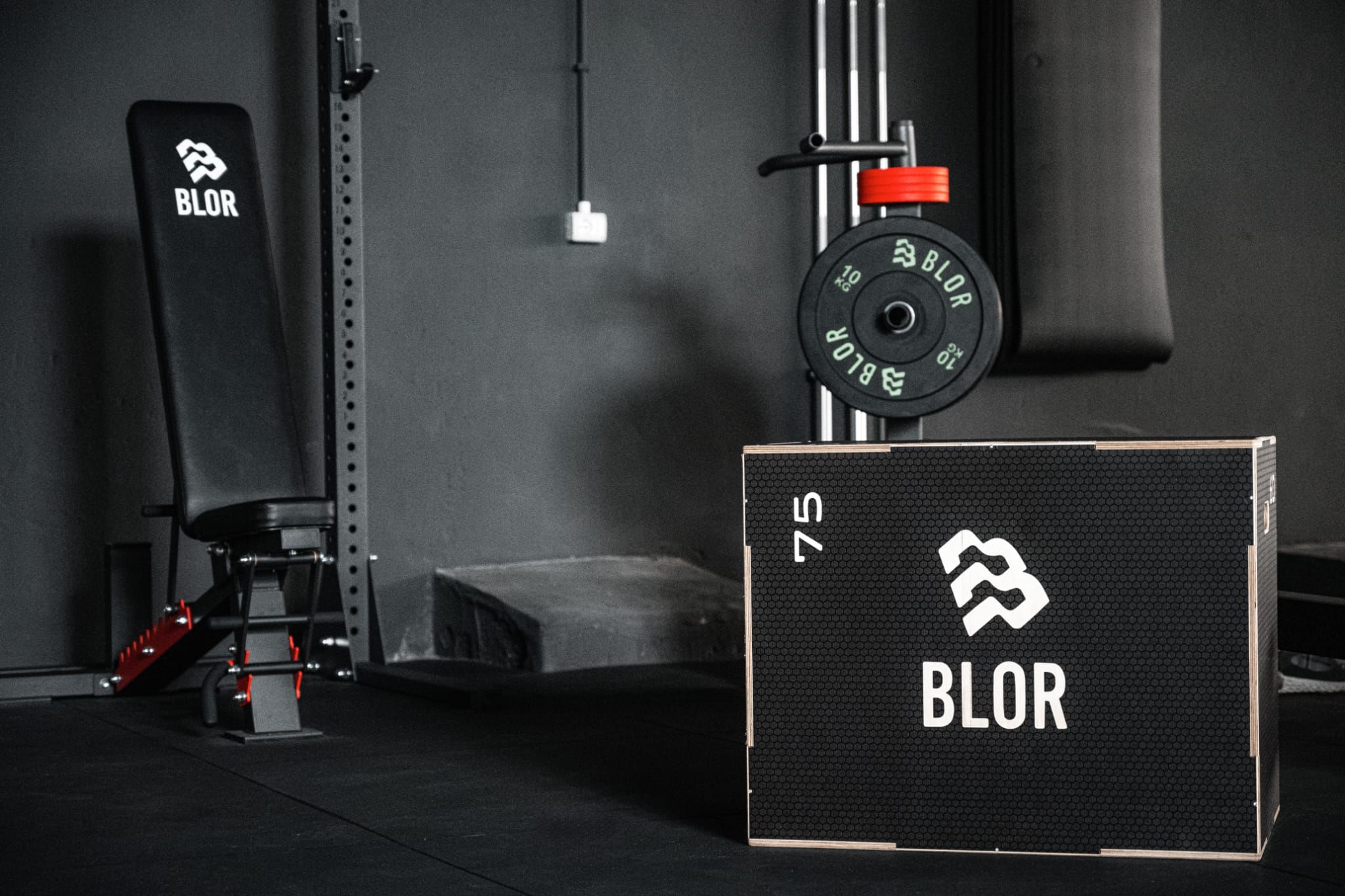 Palestra 45 Gradi - Vista 4