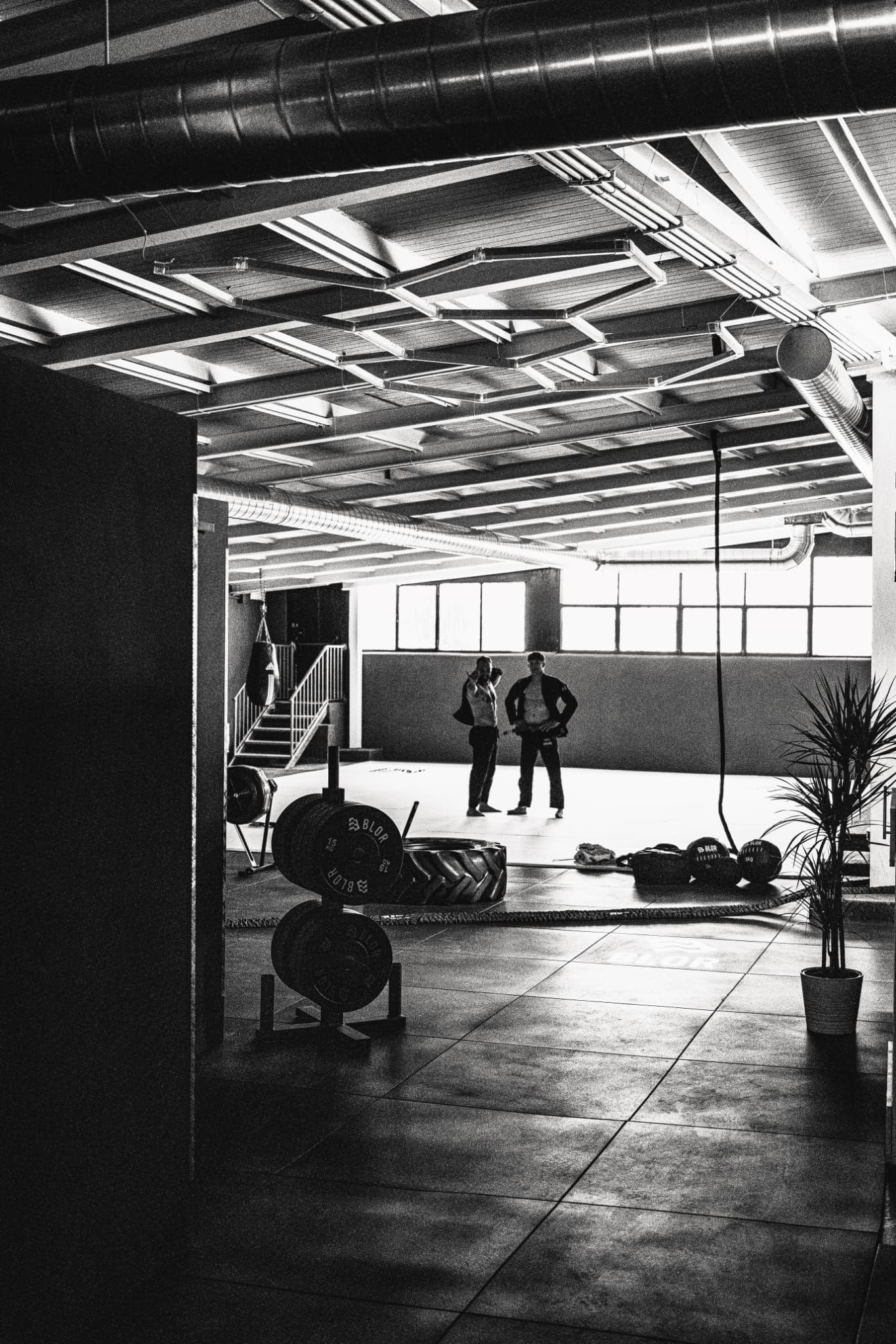 Palestra 45 Gradi - Vista 7