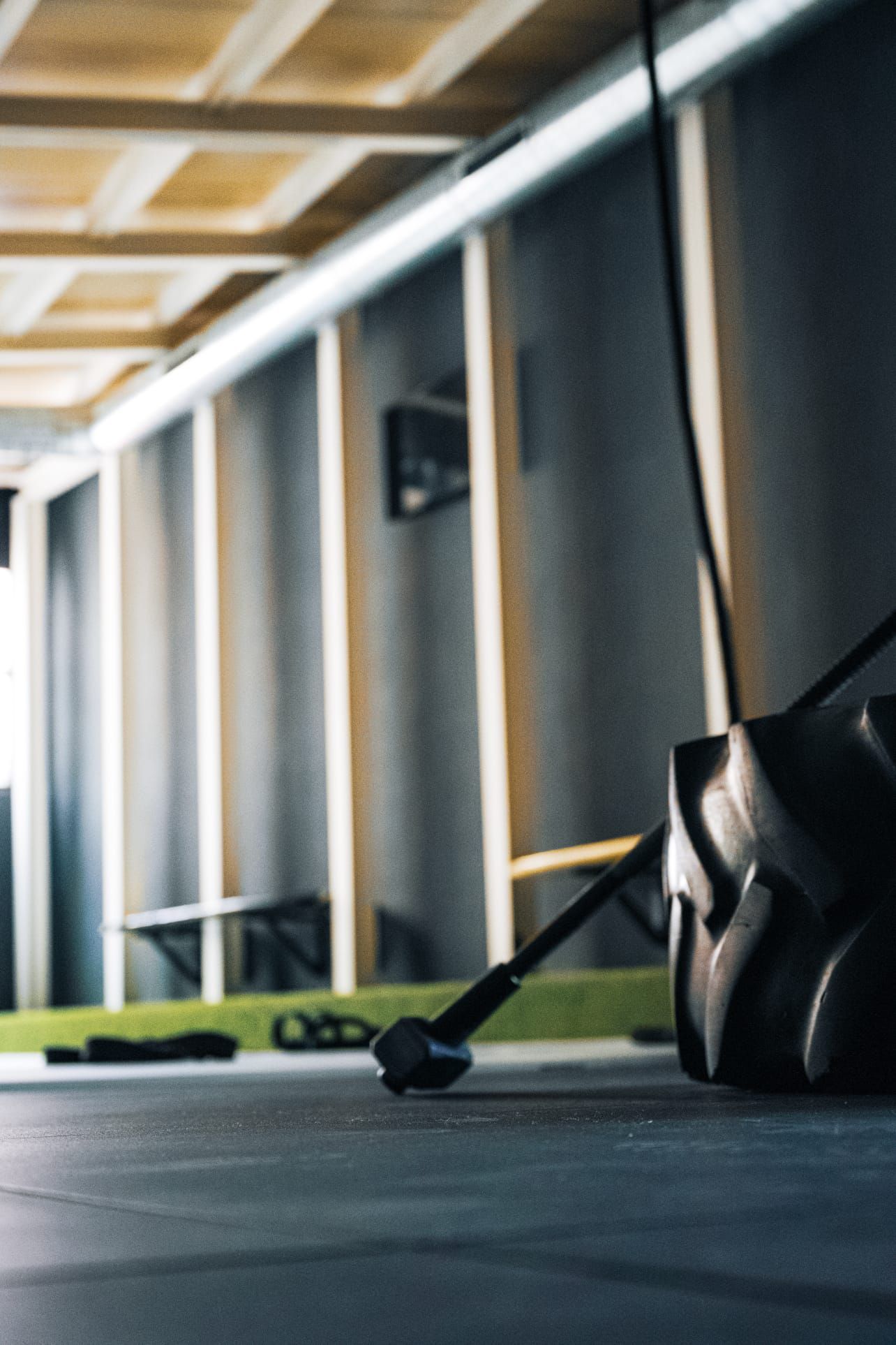 Attrezzatura professionale palestra