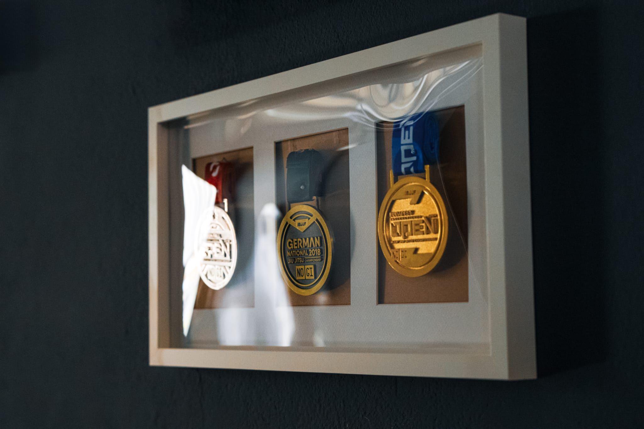 Medaglie e riconoscimenti