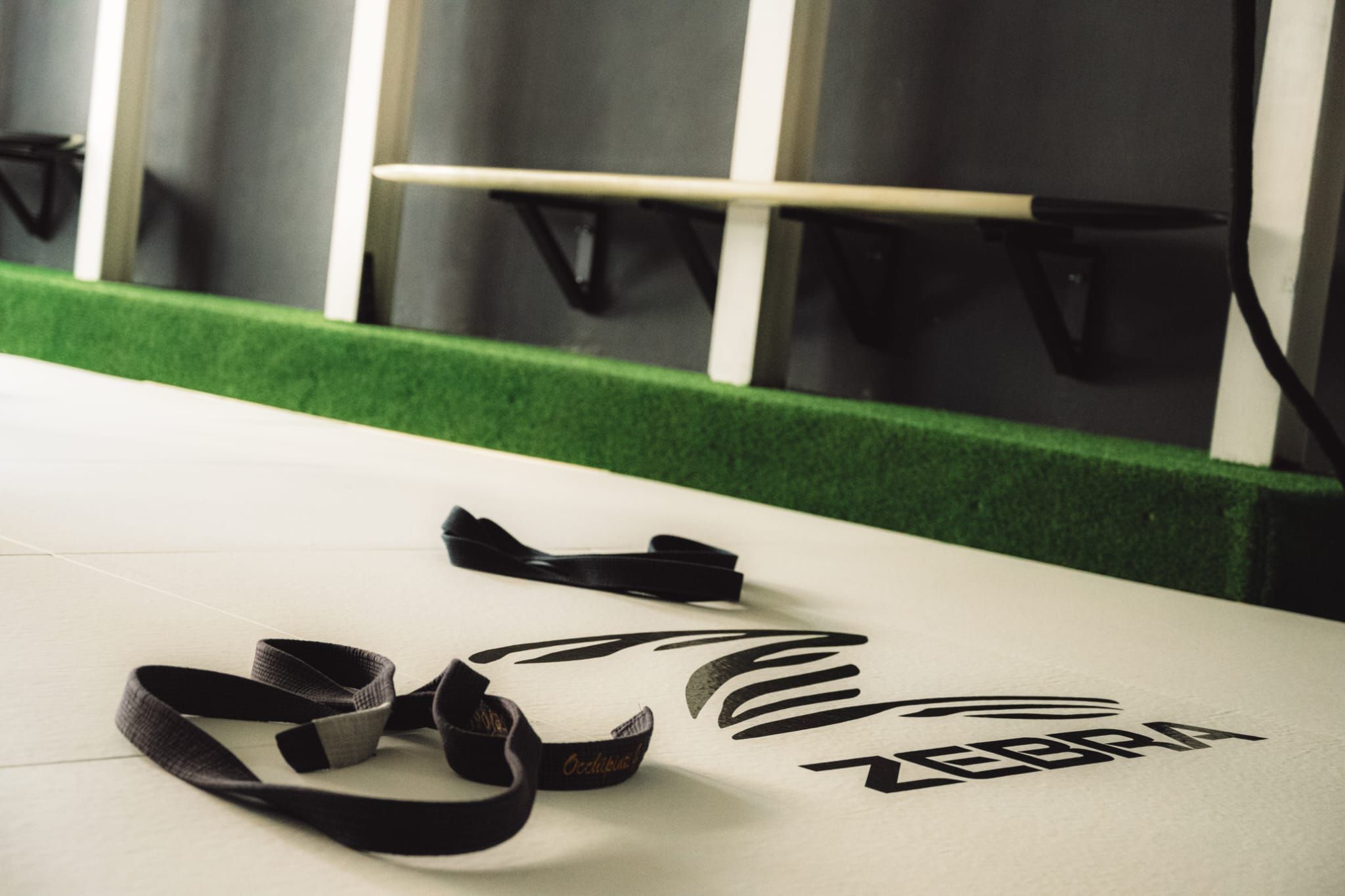 Area tatami allenamento