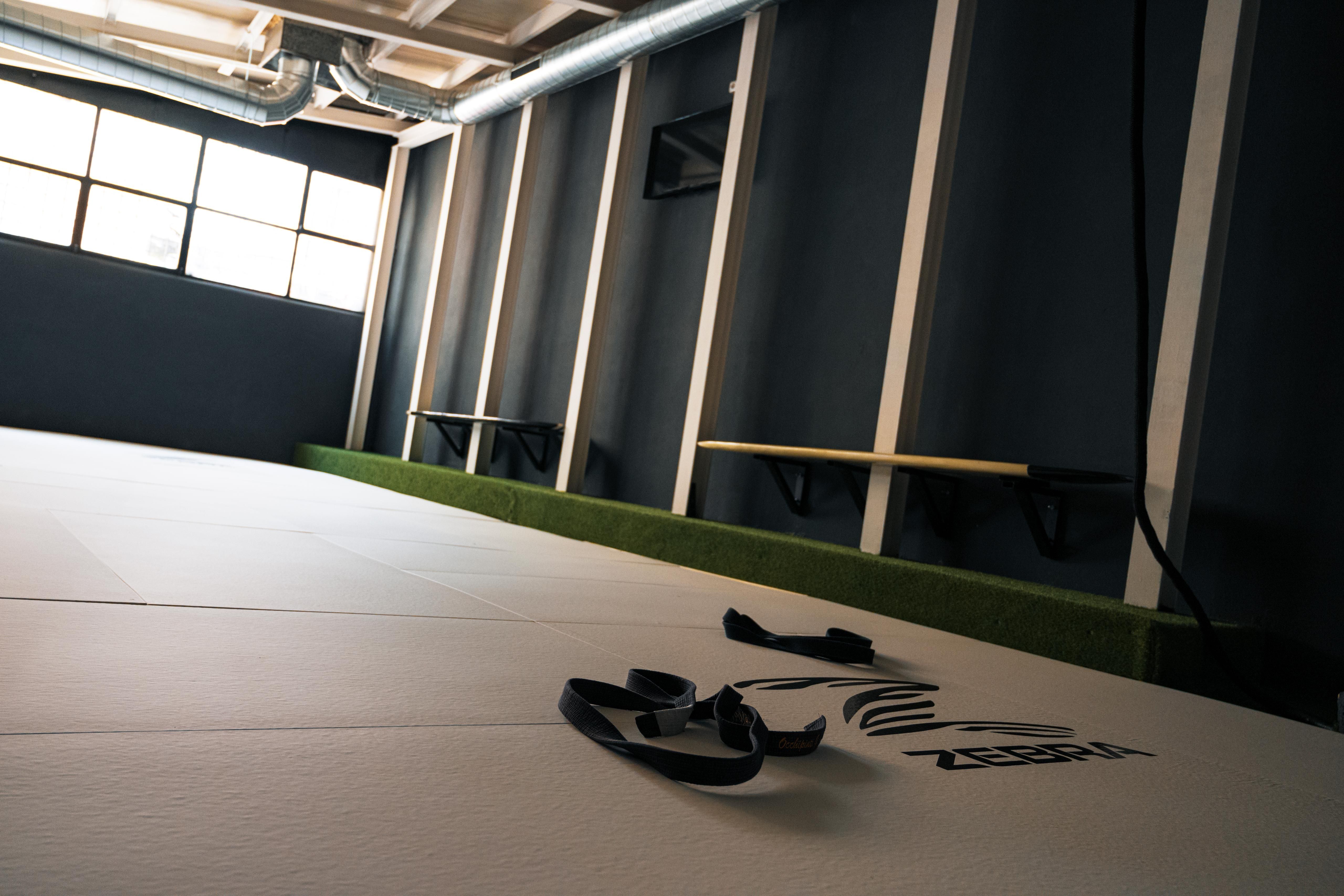 Tatami professionale BJJ