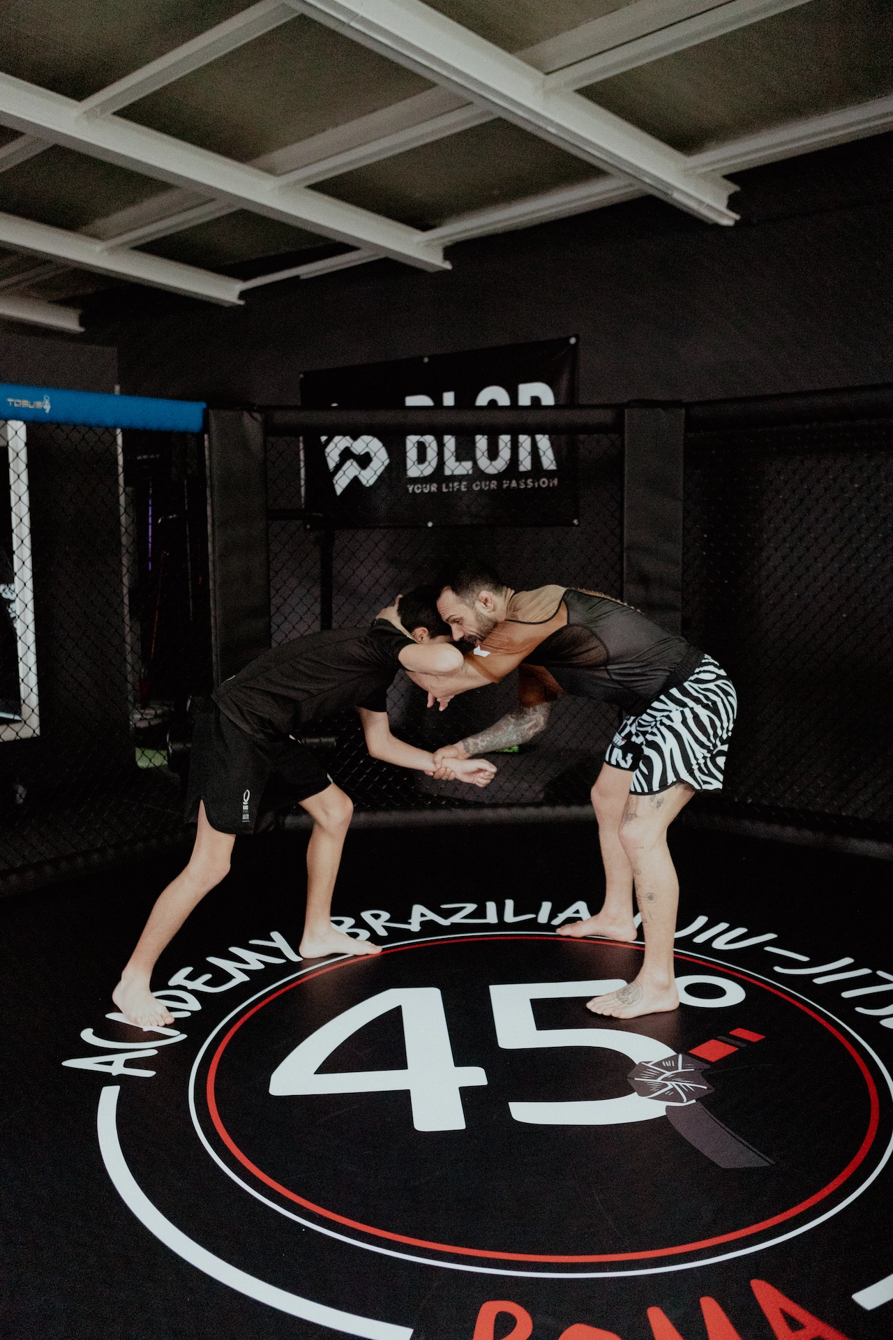 MMA - Sparring in gabbia