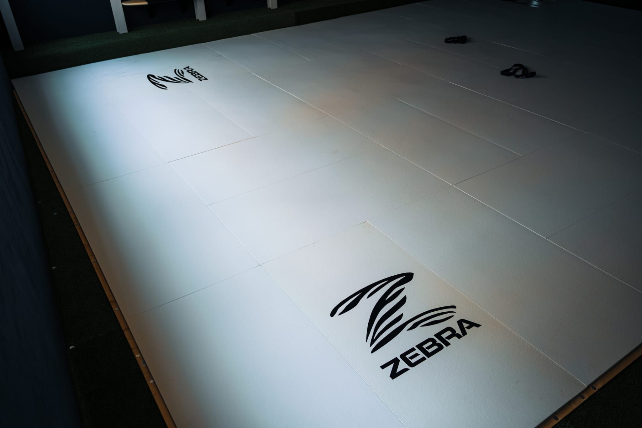 Interno palestra BJJ